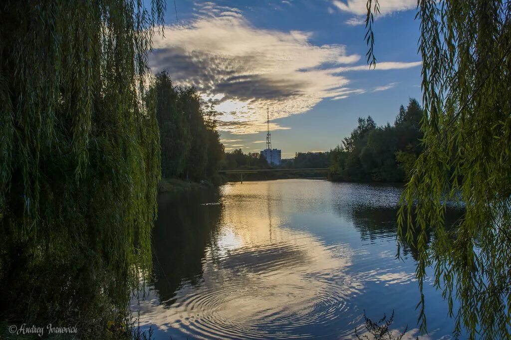 Красоты рязани фото Моя Рязань-фотоальбомы-родословная-генеалогия-Персональный.