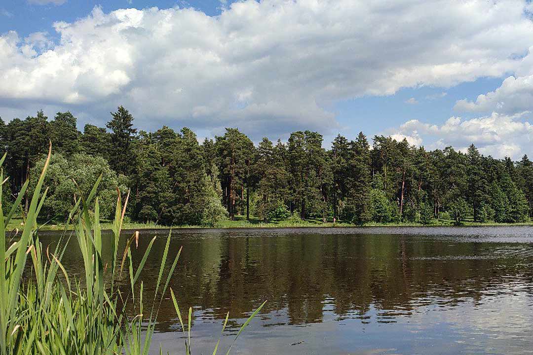 Кратово озеро фото 2 сентября Кратово отмечает 125 лет! - Раменский городской округ - Официальный и