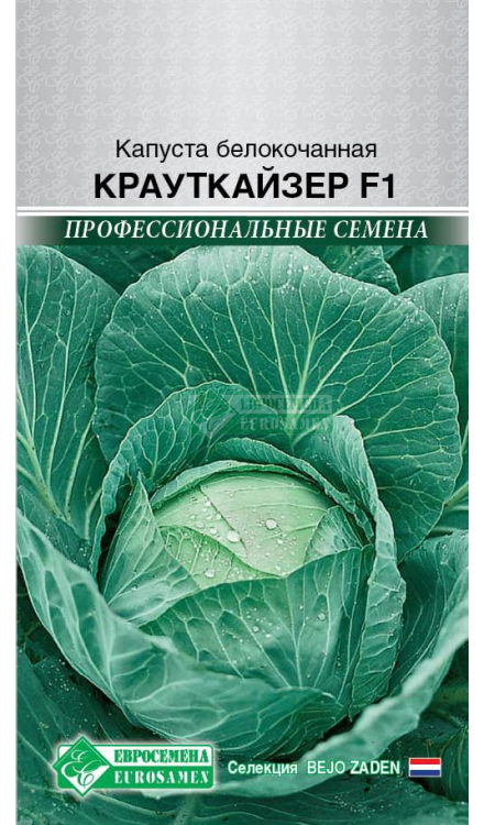 Крауткайзер капуста характеристика и отзывы фото Капуста белокочанная "Крауткайзер F1"