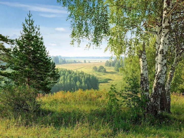 Край фото фотографии Познавательный час "Родимая сторонка" - Встречи в Любиме