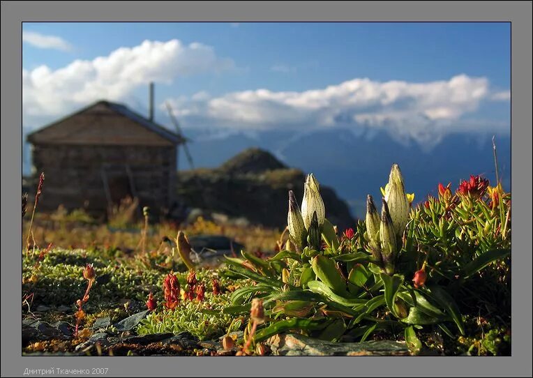 Край фото официальный сайт Фотография Край света, дом 1, автор Дмитрий Ткаченко