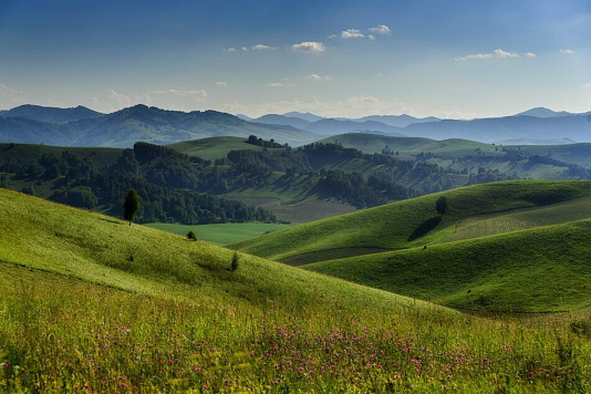 Край фото официальный сайт Новости