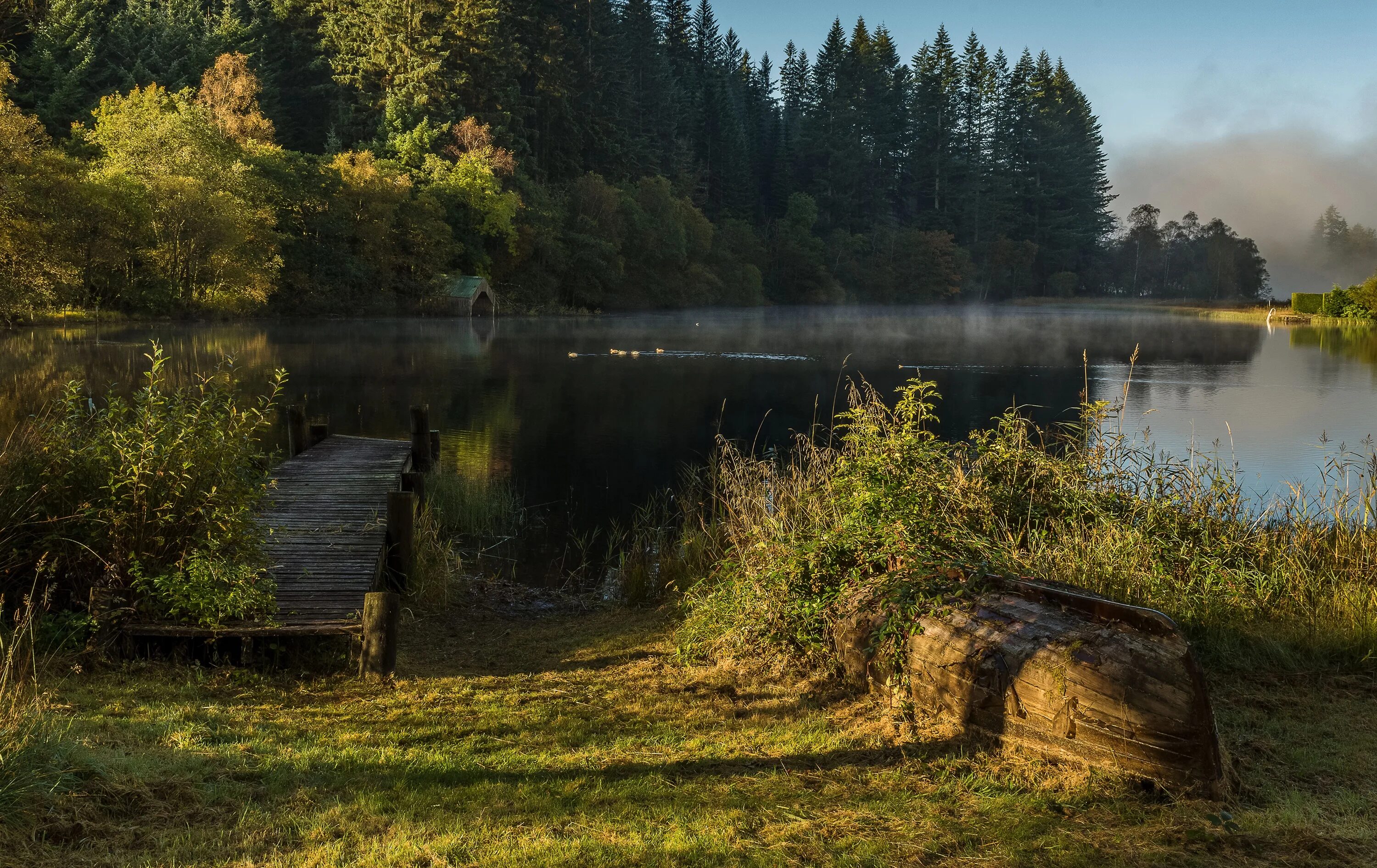 Край фото сайт Download wallpaper greens, forest, grass, the sun, trees, fog, lake, boat, secti