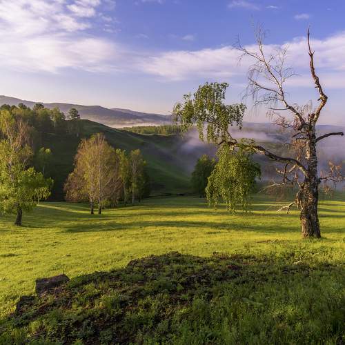 Край фото сайт The best photographers in the city Magnitogorsk. 8th 35AWARDS #35AWARDS