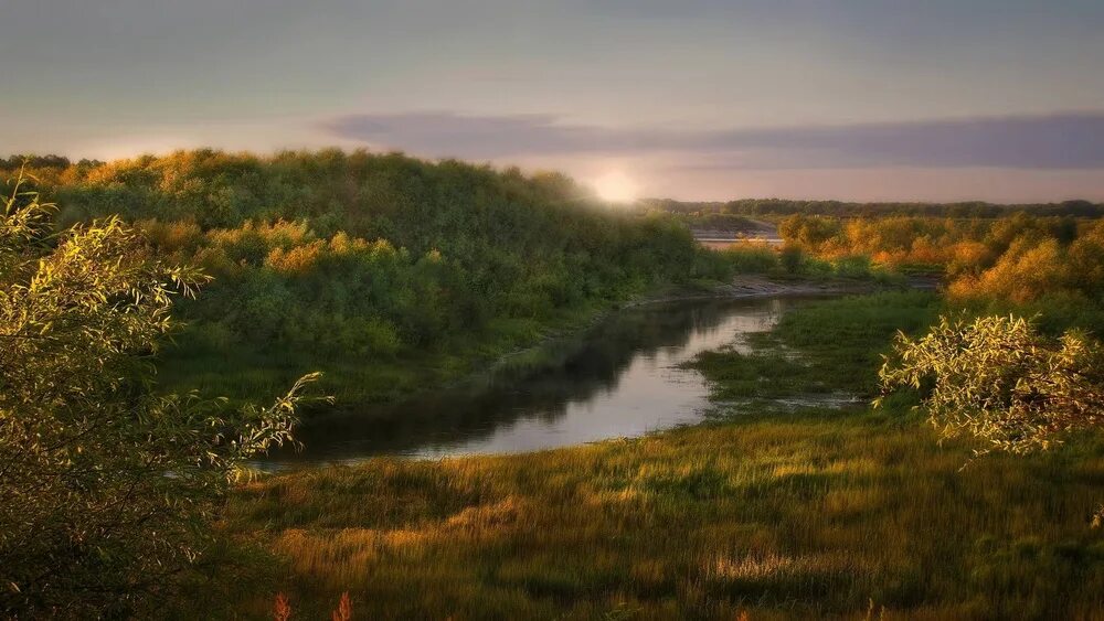 Край фото сайт LinxOne постер на экокоже / в тубусе 33x50 "Закат за лесом y" на стену / на кухн