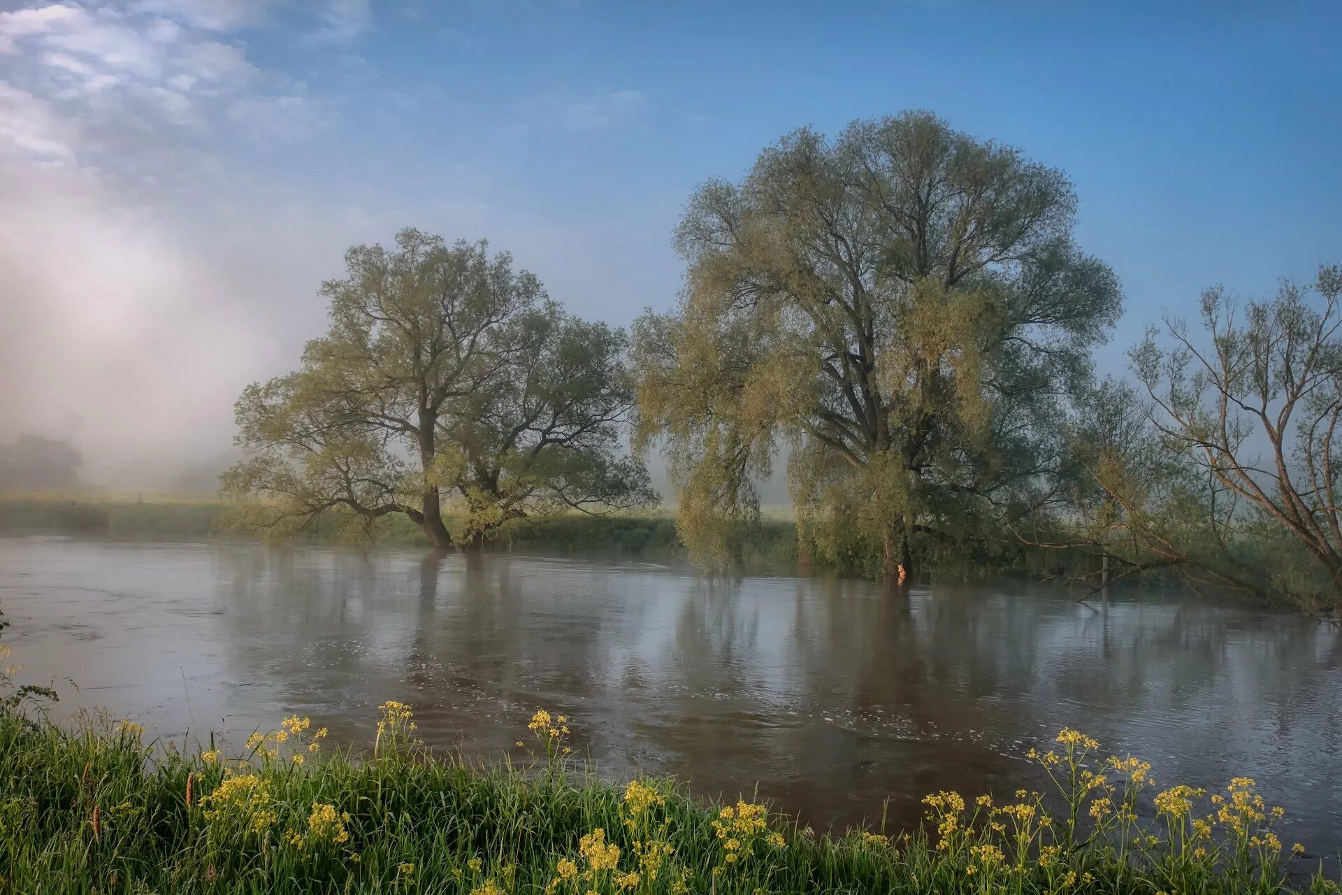 Край фото сайт В потоке. Фотограф Чиж Андрей