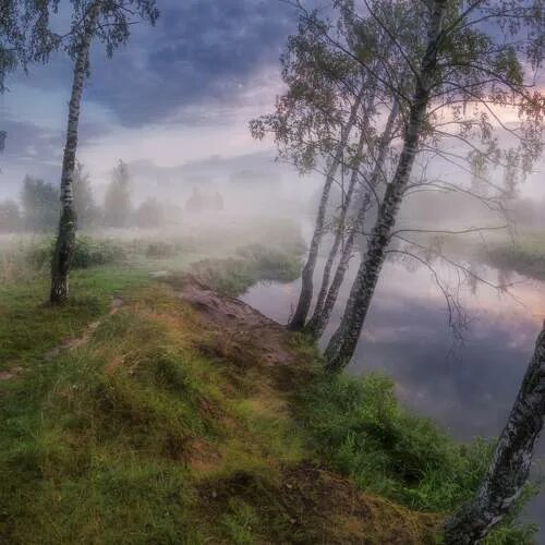 Край фото сайт Лучшие фотографы в городе Карабаново. 6th 35AWARDS #35AWARDS