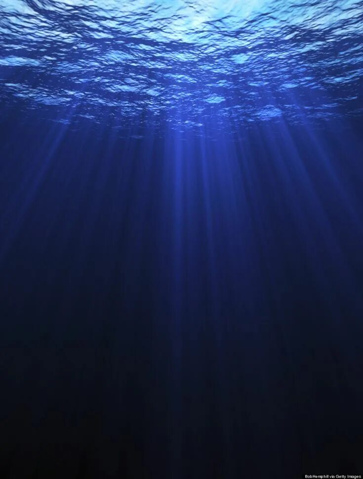 Край океана фото 16 Reasons To Love (And Respect) The Ocean Under the ocean, Ocean wallpaper, Oce