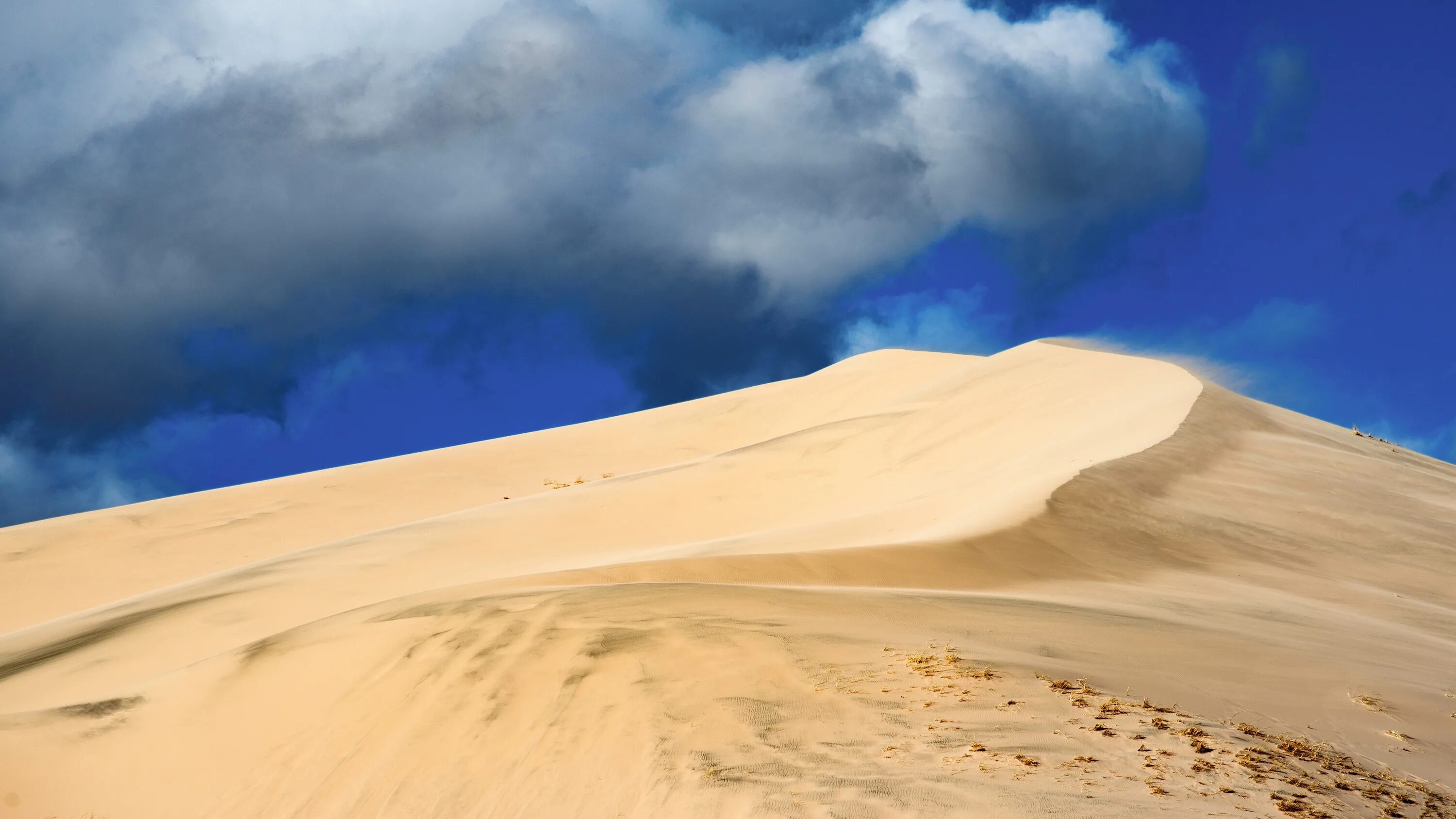 Край пустыни фото Sand dune under the blue sky Desktop wallpapers 640x960