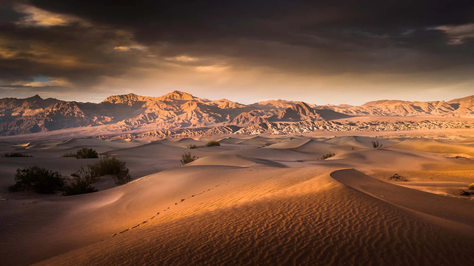 Край пустыни фото Download Stunning 4k Desert Landscape Wallpaper Wallpapers.com