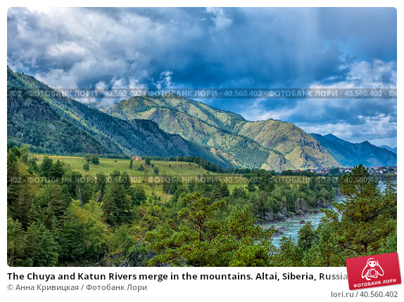 Края россии фото The Chuya and Katun Rivers merge in the mountains. Altai, Siberia, Russia. Стоко