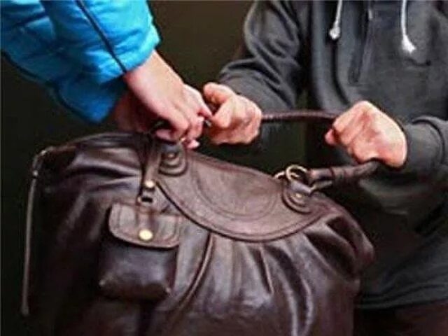 Кража сумочки Перейти на страницу с картинкой