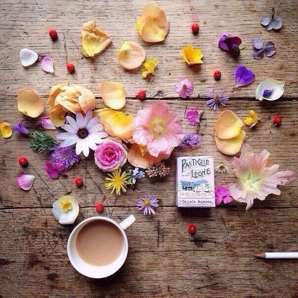Креативная картинка хорошего дня Pin by Sophia Ross on Домашний уют l House and home Flowers photography, Still l