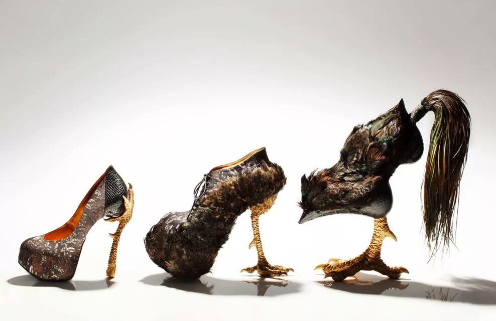 Креативная обувь женская купить в москве фото "Bird-Witched", A Fantastic Collection of Bird-Themed Stiletto Heel Shoes Design