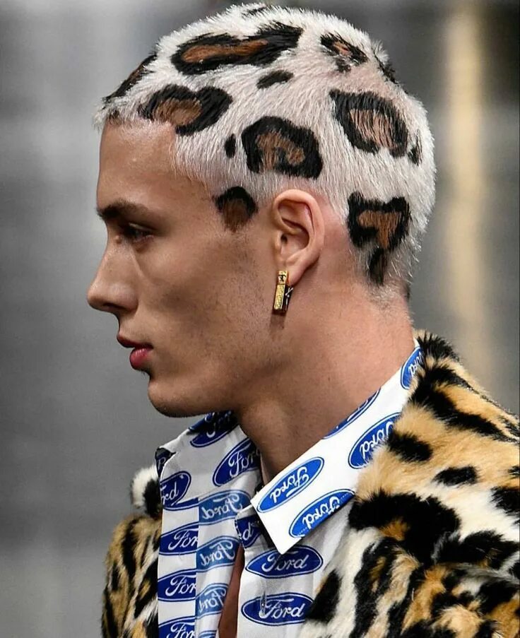 Креативная прическа мужская Pin by Rodolpho Ribeiro on Humor Leopard print hair, Dyed hair, Men hair color