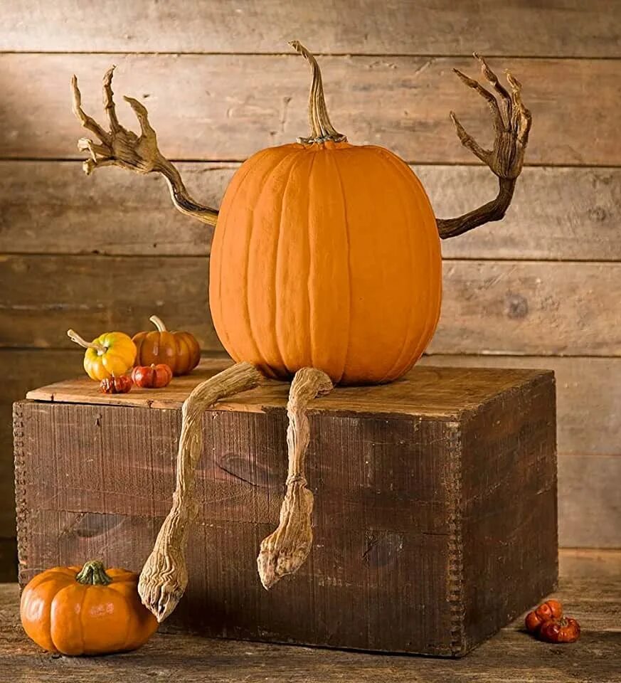 Креативное фото с тыквой Amazon.com: Evil Pumpkin