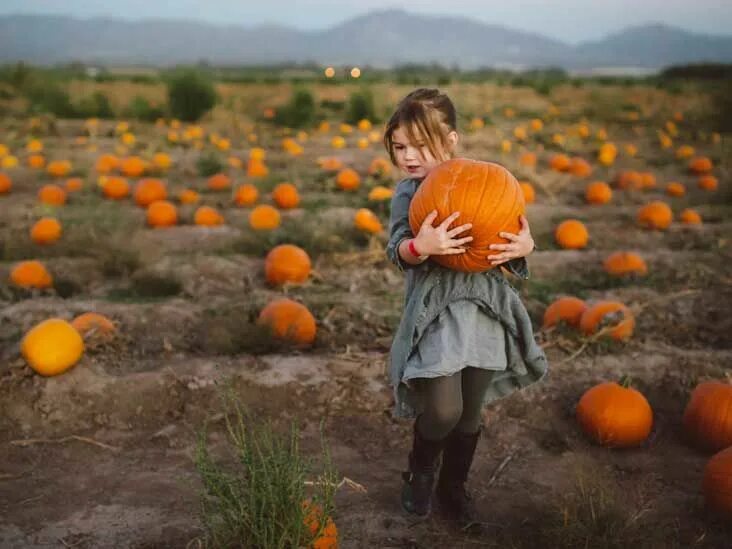Креативное фото с тыквой 9 Impressive Health Benefits of Pumpkin Pumpkin, Pumpkin carving tips, Pumpkin p