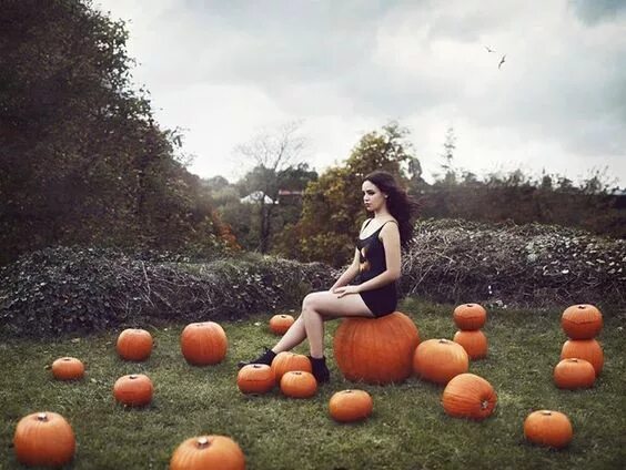 Креативное фото с тыквой Amy Spanos Orange