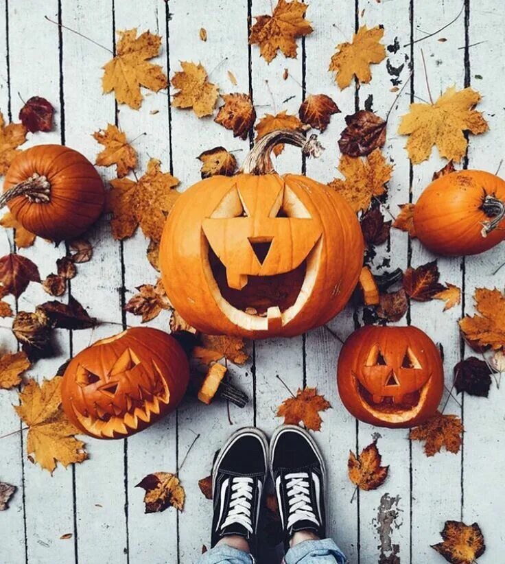 Креативное фото с тыквой pinterest: natalyelise7 ✰ Fall halloween, Halloween traditions, Halloween