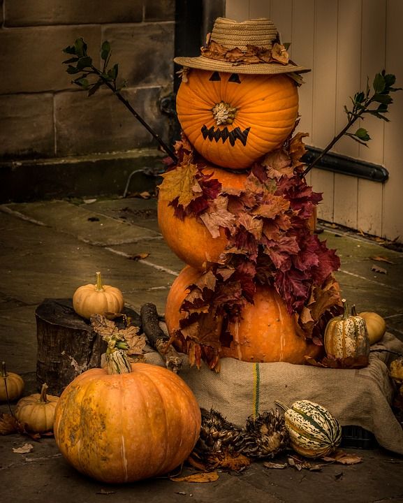 Креативное фото с тыквой 15 Fall Activities to Enjoy - Town & Country Living Halloween activities, Autumn