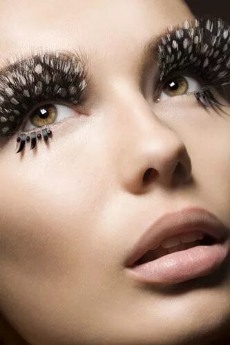 Креативное наращивание ресниц фото Discovering Design: EYE LASH FEVER HALLOWEEN Feather eyelashes, Makeup, Dramatic