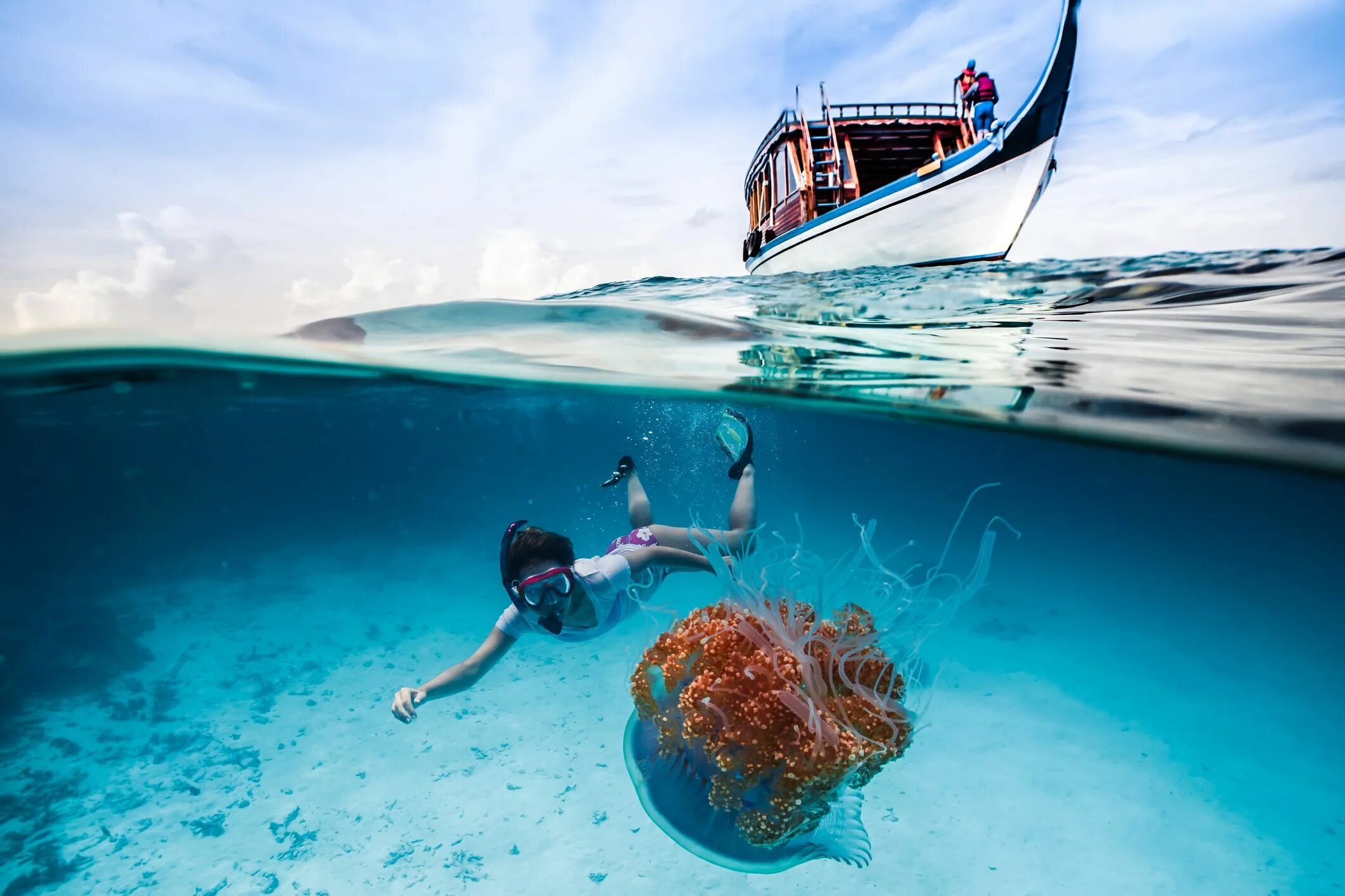 Креативные фото моря Where to Snorkel and Dive in the Maldives Подводные фотографии, Водная фотографи