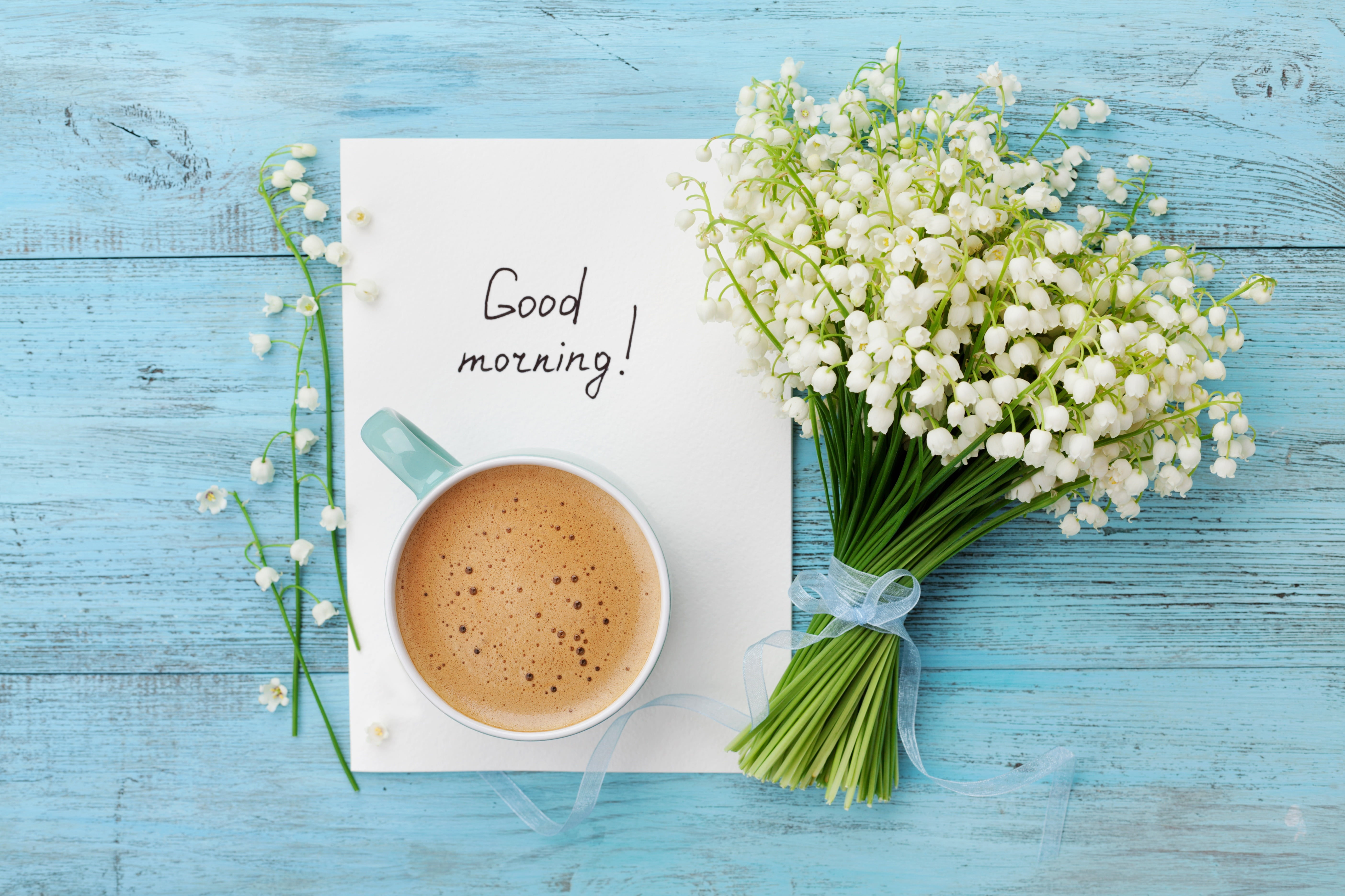 Креативные картинки с пожеланием доброго дня Good Morning! #coffee #green lilly of the valley #cup #morning #white #blue #car