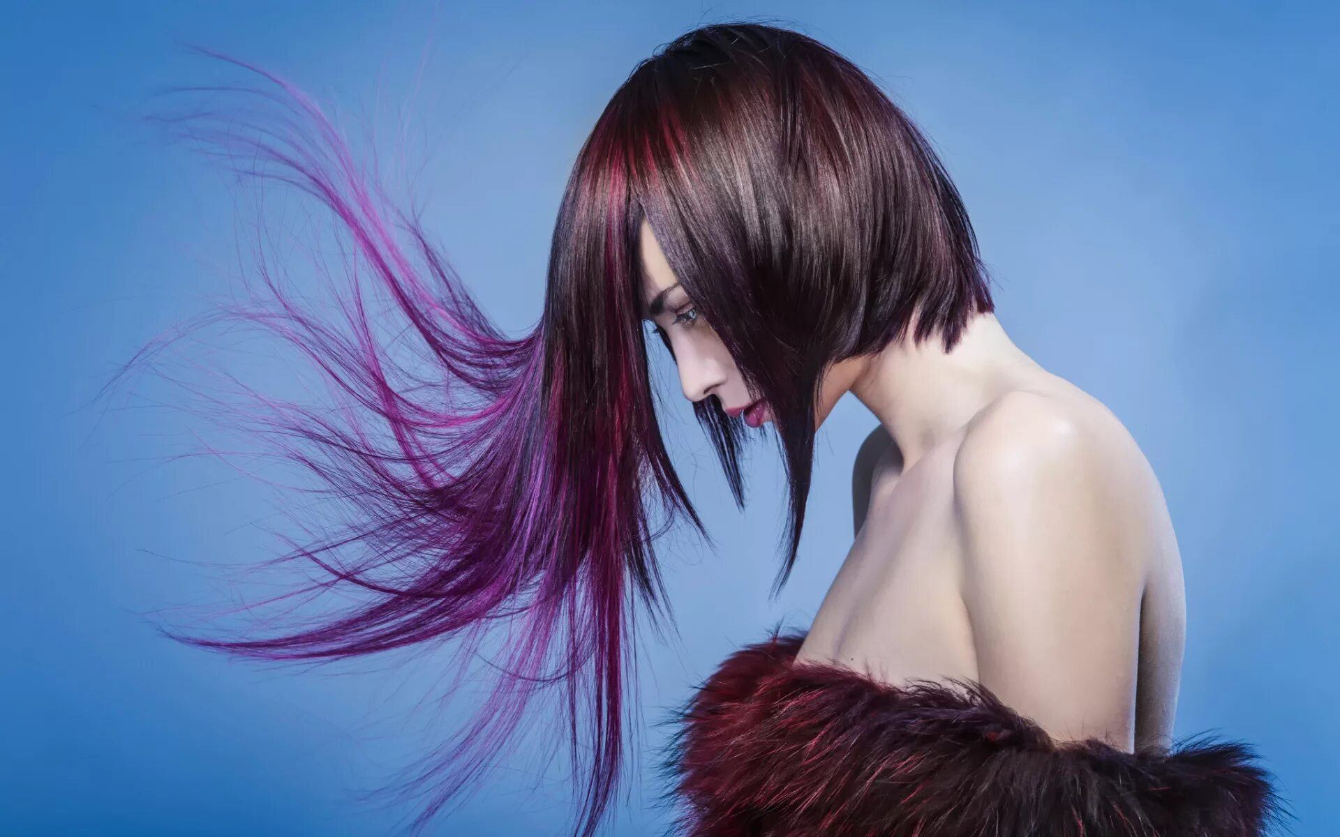 Креативные стрижки на длинные волосы 2024 Download wallpaper girl, hair, profile, Flying Hair, Hairaward 2015, section gir