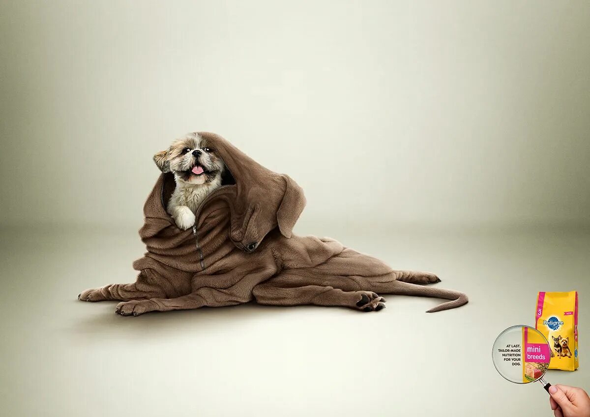 Креативные животные фото New Pedigree MiniBreeds on Behance Pet tags, Creative advertising, Lion sculptur