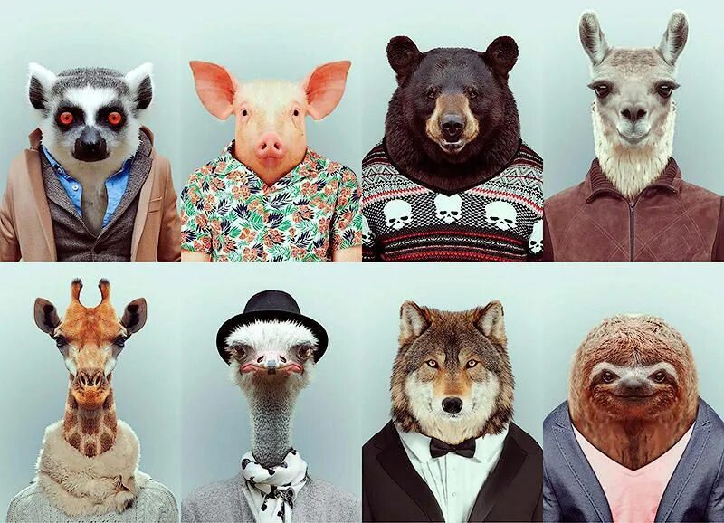 Креативные животные фото Животинки в одежках Animal crafts preschool, Animals, Bear art