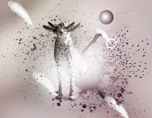 Креативные животные фото Into the Wild: Awesome Animal Photo-Manipulations Envato Tuts+