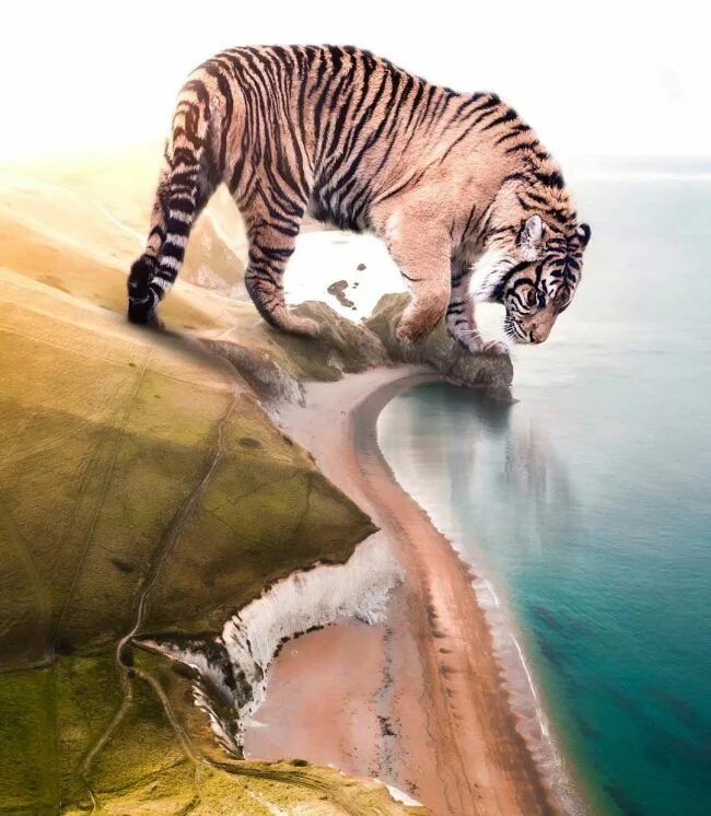 Креативные животные фото "Giant Animals And Tiny Humans": Breathtaking Surreal Photo Manipulations By Ebe