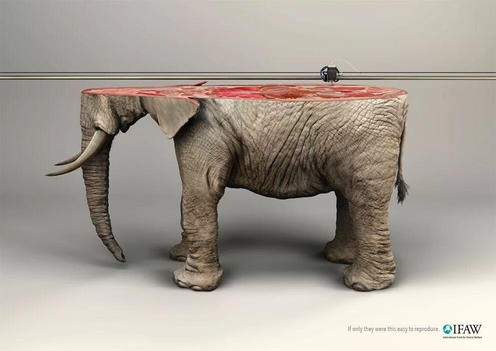 Креативные животные фото If Only: Even 3D Printing Can’t Replace Endangered Animals - 3DPrint.com The Voi