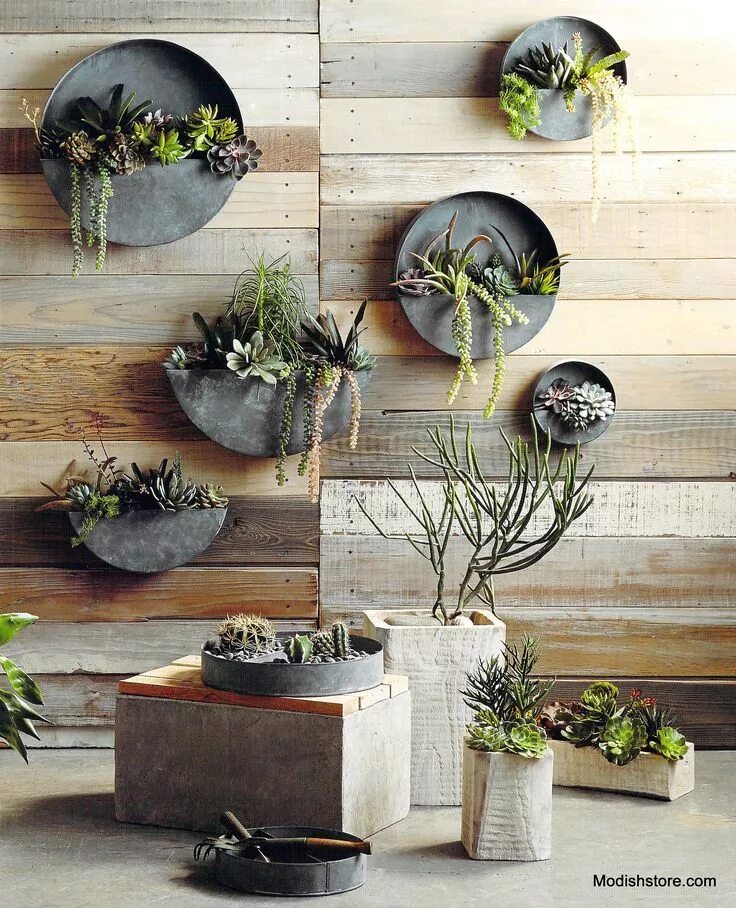 Креативный декор для дома Image result for round wall mounted pot plants Wall planter, Vertical garden, In