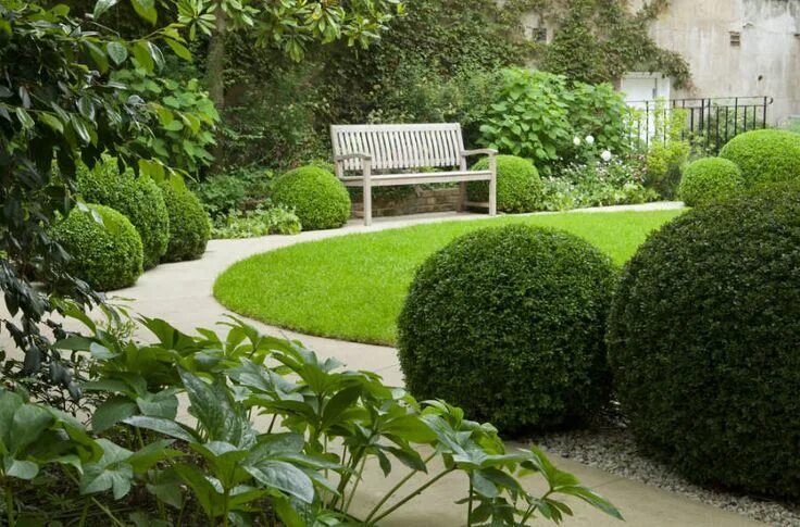 Креативный сад фото circular lawn with buxus balls, pebbles and hellebors, hydrangeas...green & whit