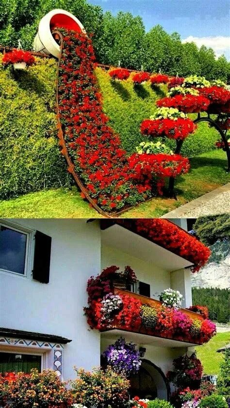 Креативный сад фото Pin on plantas