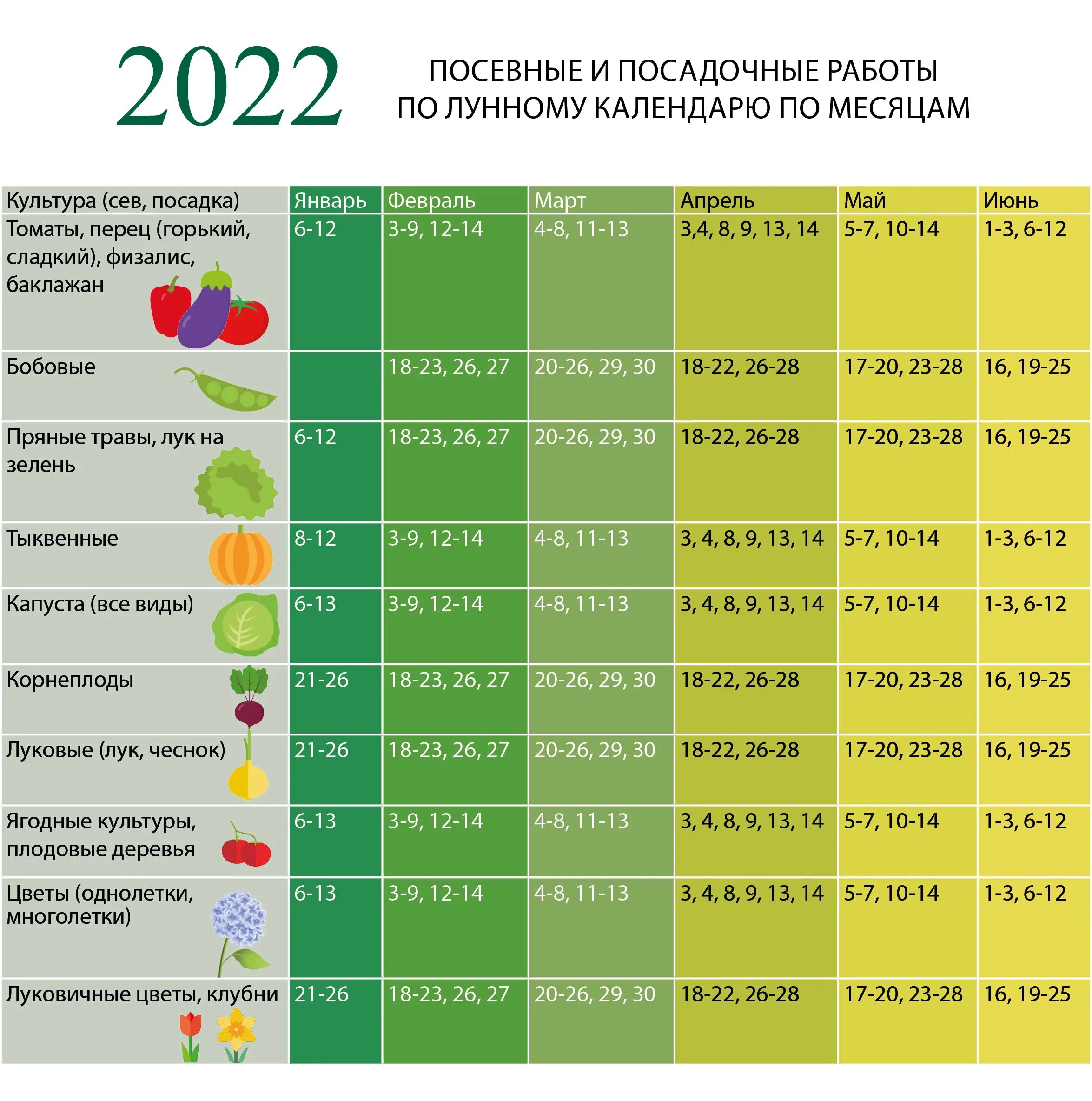 Кредит по лунному календарю Лунный календарь на январь - CoffeePapa.ru