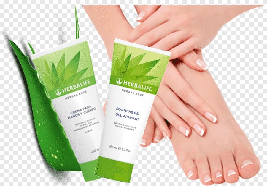 Крем для рук фото без фона Free download Herbal Center Cream Aloe vera Skin Humectant, hand, cream, hand pn
