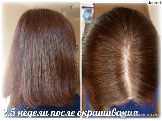 Крем хна фото до и после Крем- хна ФИТОкосметик Индийская в готовом виде - "Крем-хна - настоящая находка 