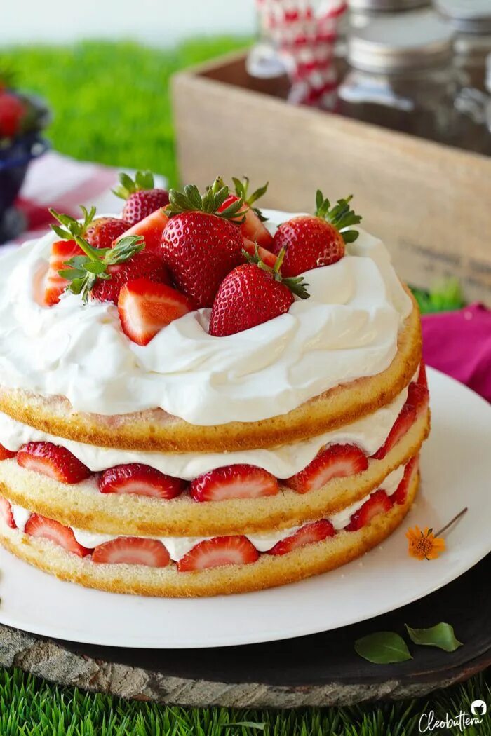 Крем с клубникой рецепт с фото Strawberry Cream Cake Cleobuttera Recipe Strawberry cream cakes, Strawberries an
