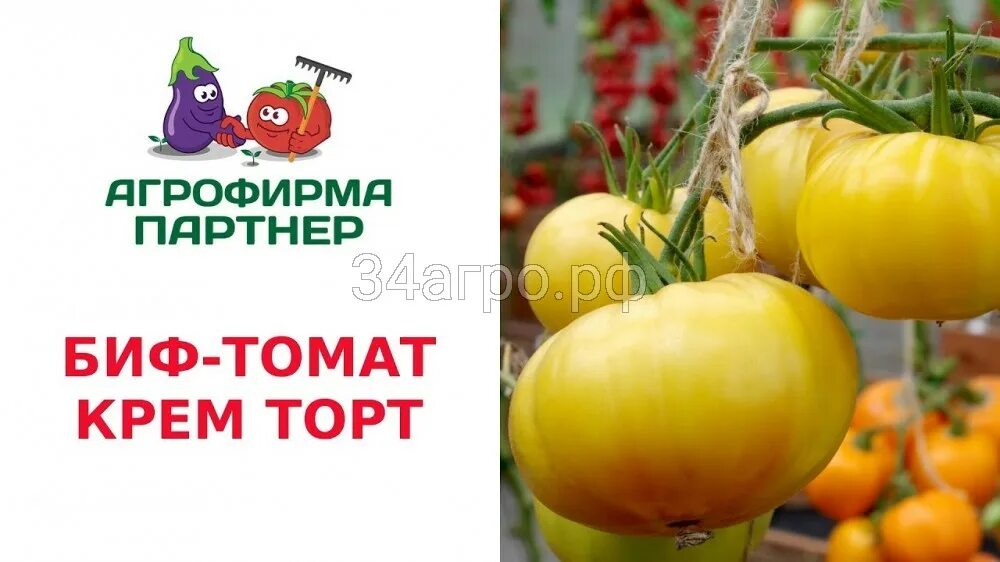 Крем торт томат описание и фото Купить семена Томат Крем Торт 0,05 гр в Волгограде c доставкой по России - "Агро