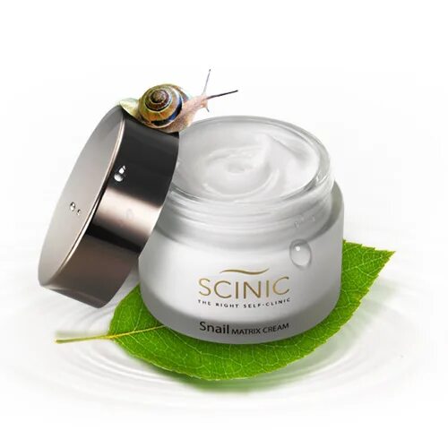 Крем улитка фото Отзывы на SCINIC Крем для лица антивозрастной Snail Matrix Cream с муцином улитк