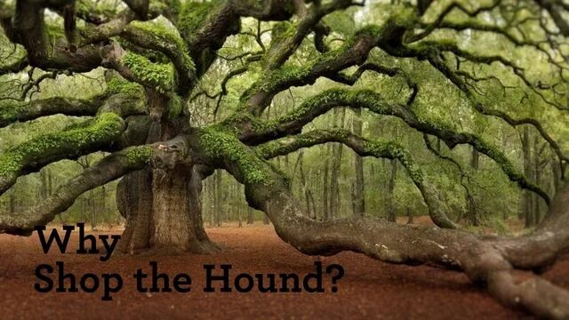 Крупные деревья фото Shop the Hound has Flip-Pal ® and you can too. www.shopthehound.com Trees to pla