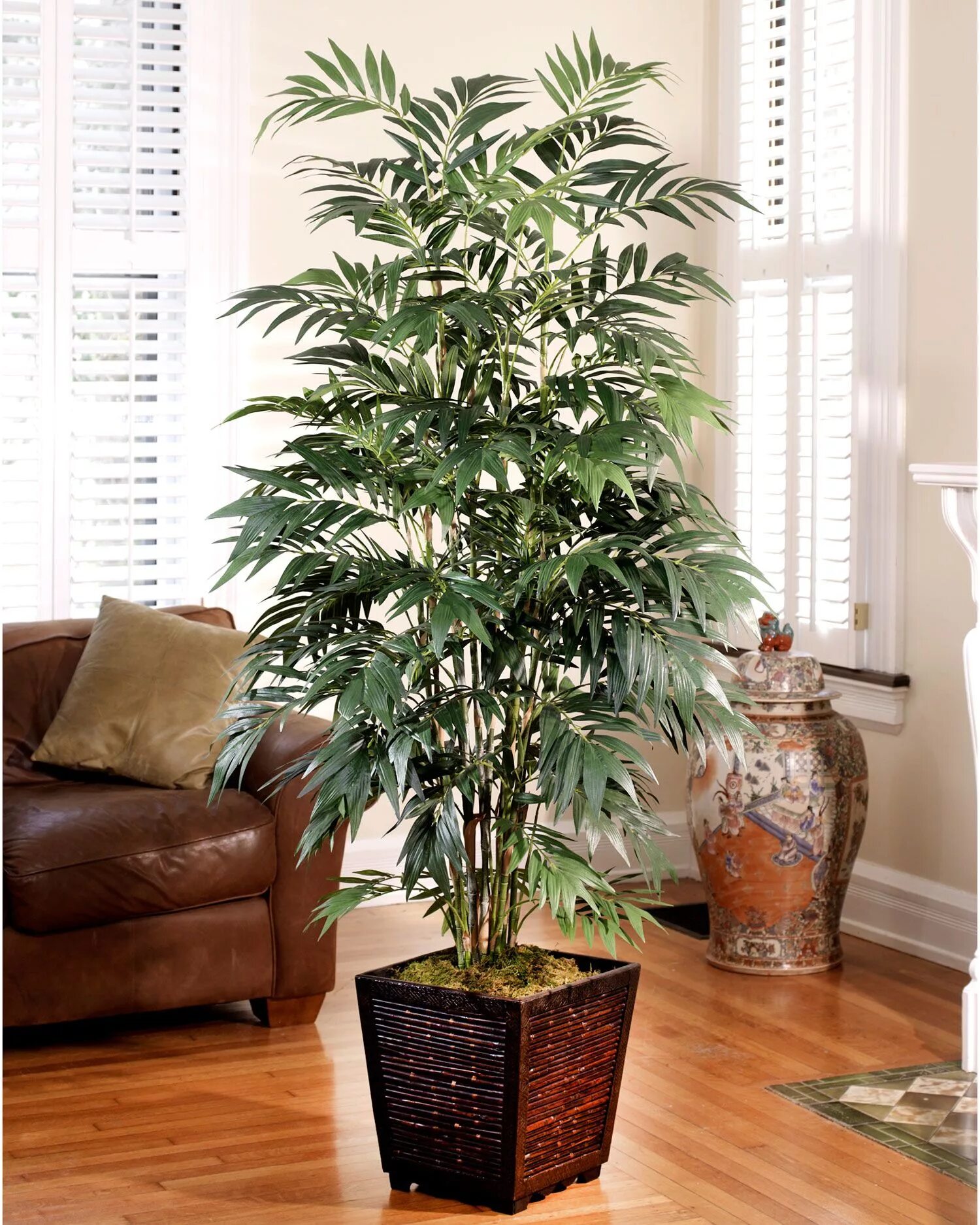 Крупные комнатные растения фото и названия 6' Silk Bamboo Palm Tree Air purifying house plants, Artificial plants and trees