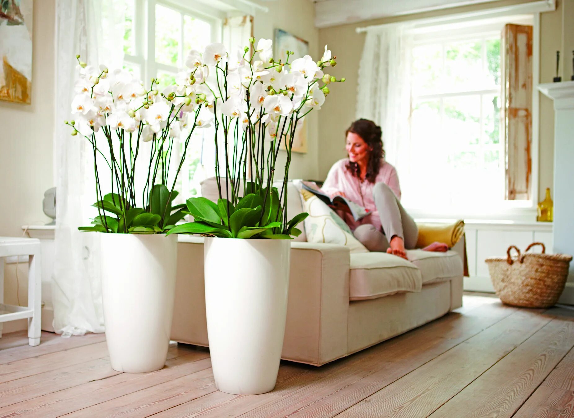 Крупные цветы в интерьере фото Indoor brussels diamond round high - elho.com #orchids #design #pure Ideer bolig