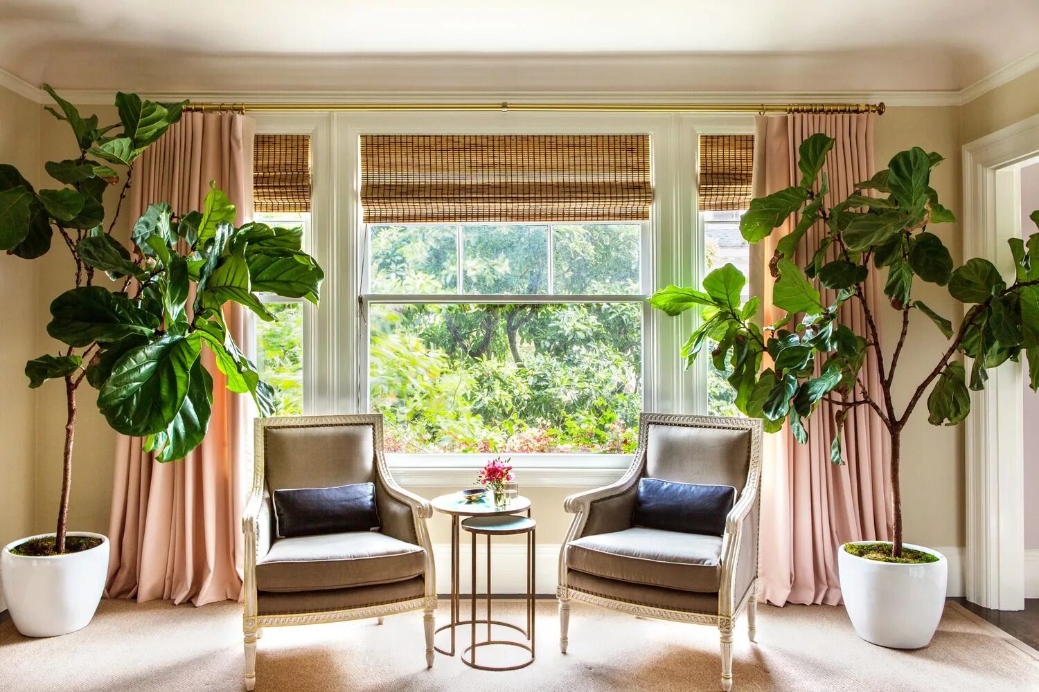 Крупный цветок в интерьере Projects Fiddle leaf fig, Fiddle leaf, House design