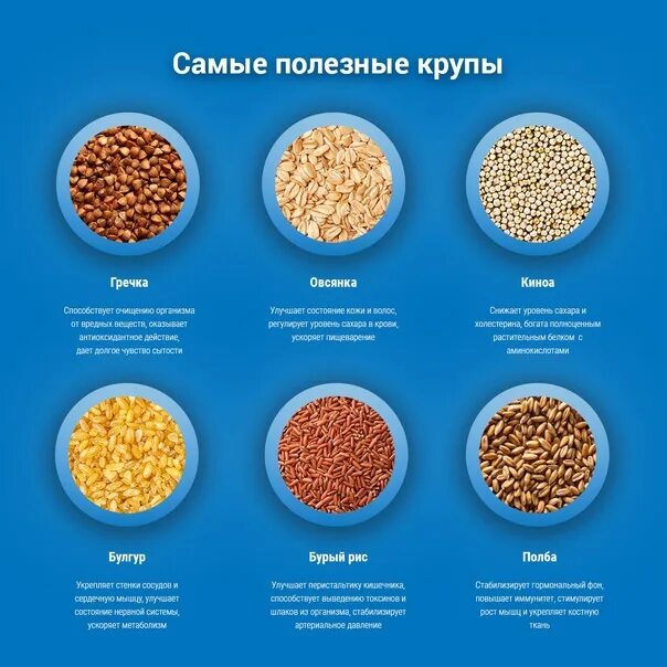 Крупы виды фото Информация - Рекомендации ГТО. Подготовка к сдачи нормативов ГТО. Какие крупы по