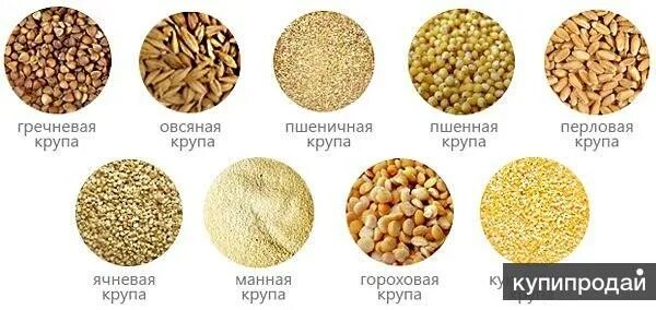 Крупы виды названия с фото крупы оптом в Новосибирске