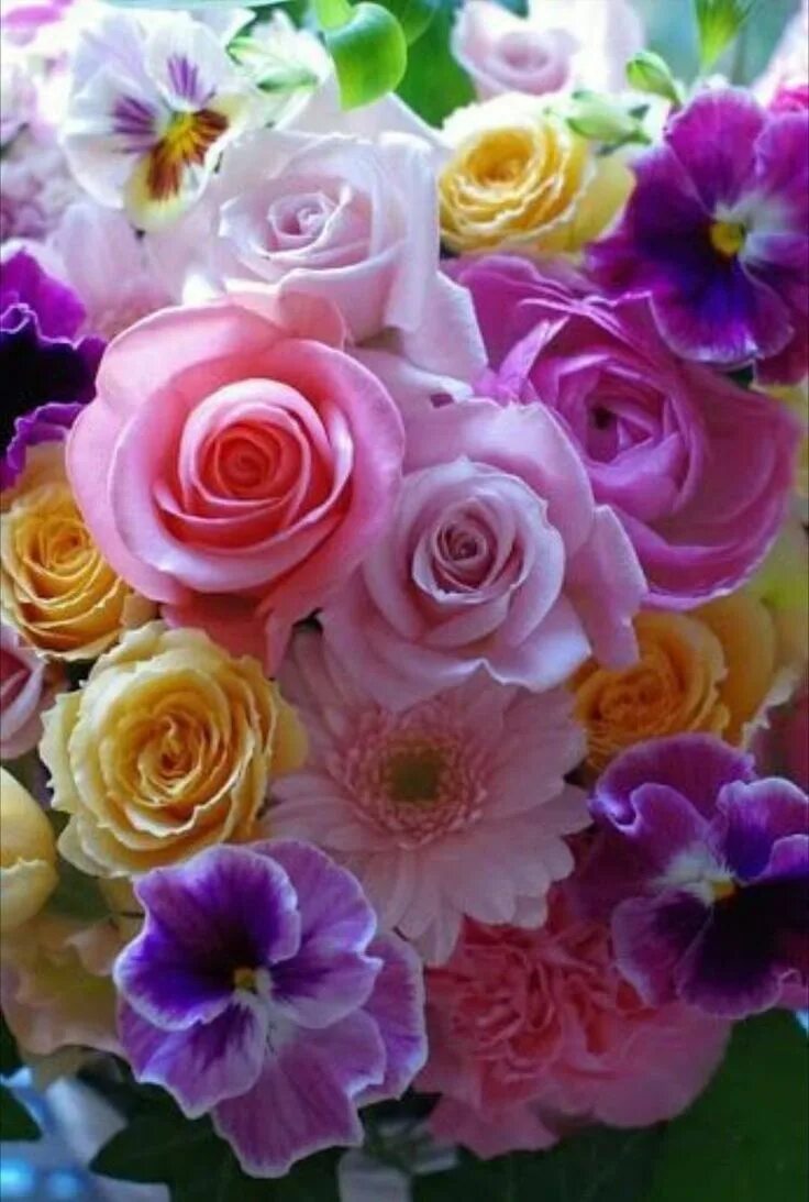 Крутое фото цветов Pin on Roses for Our Lady Beautiful rose flowers, Beautiful flowers pictures, Ro