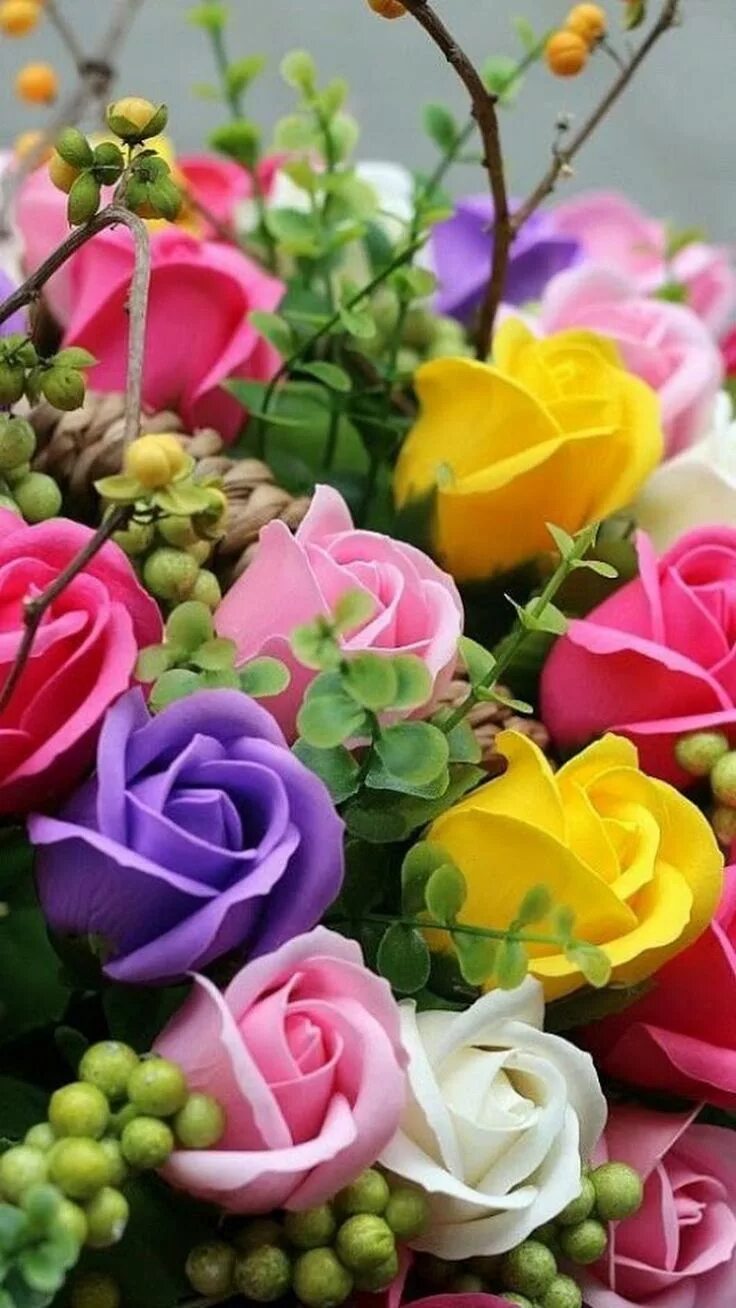 Крутое фото цветов New community features for Google Chat and an update on Currents Beautiful rose 